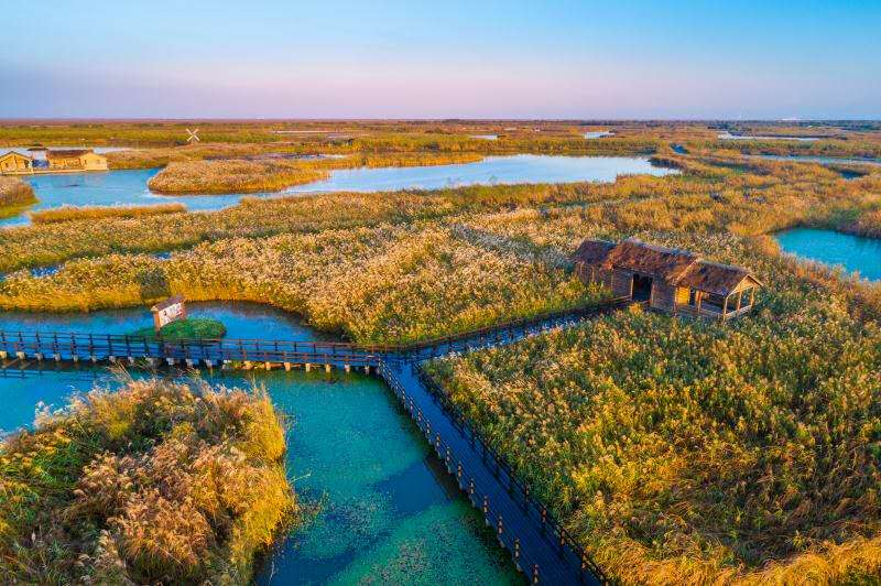 【门票】杭州湾湿地公园 （含游船+景交车）