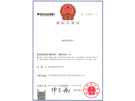 注冊商標-HOCKEYFLY(41類)