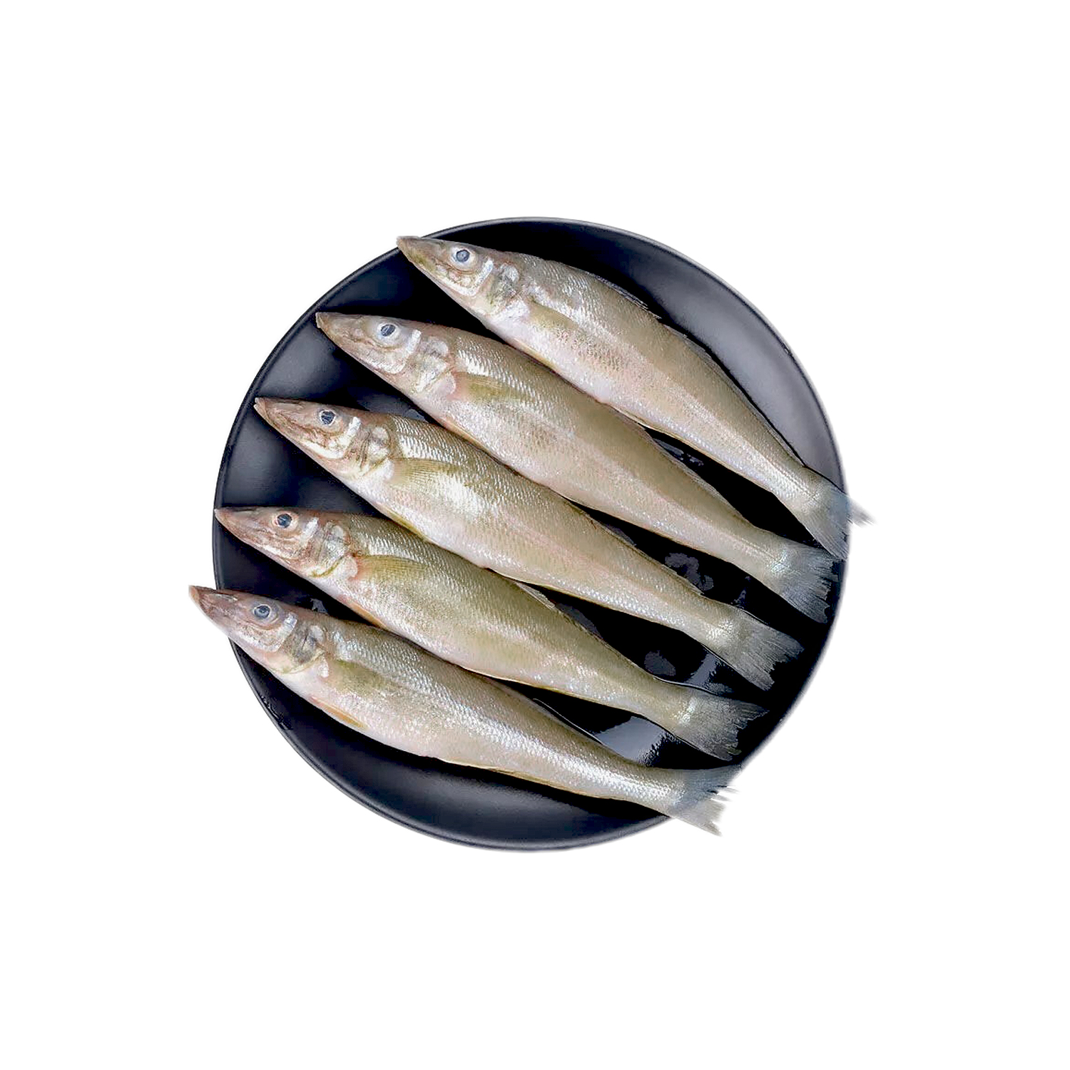 沙尖鱼