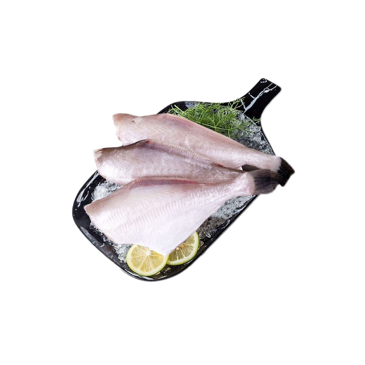 马面鱼