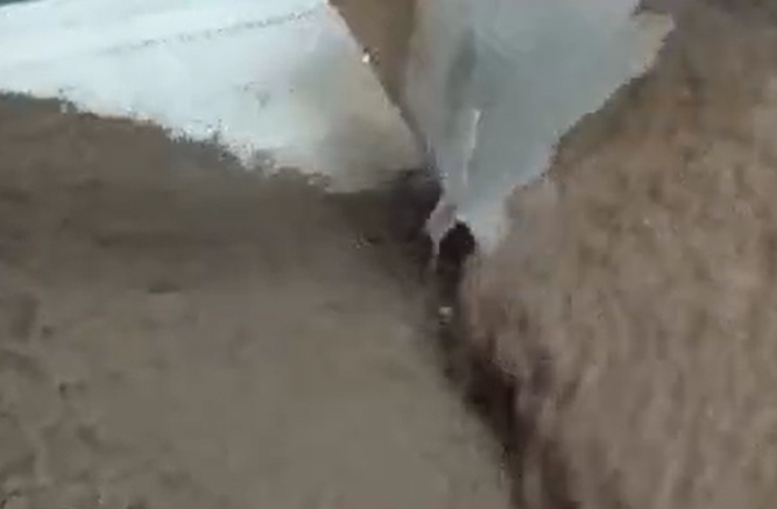 衡陽河卵石制沙泥漿脫水