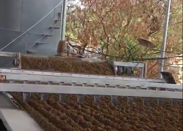 玉林花巖石制沙泥漿脫水