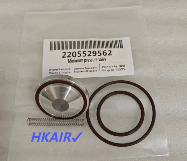 2205529562 MPV kit