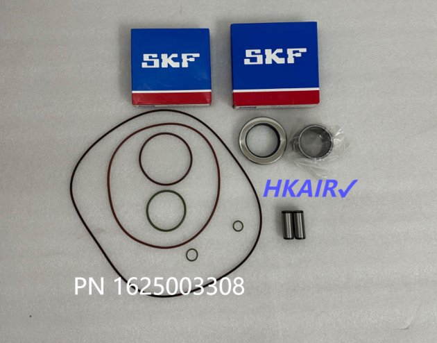 1625003308 Motor overhaul kit