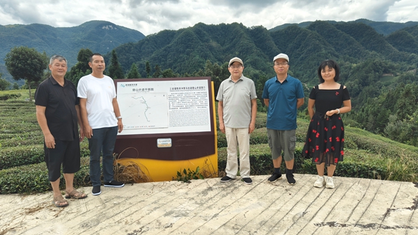 张家界市非遗促进会调研茶马文化项目，助力文旅产业融合发展