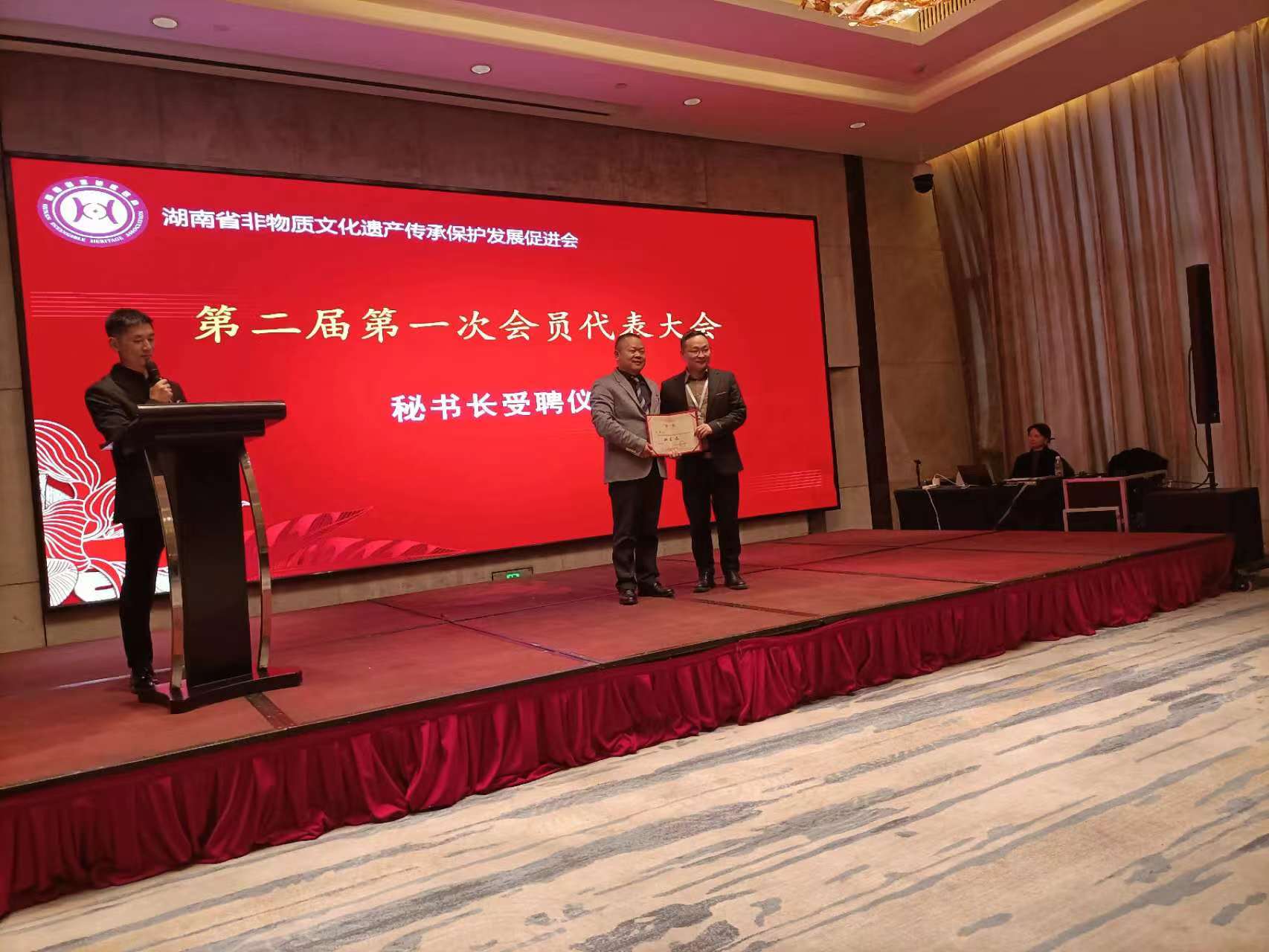 观往知来，破茧前行——2024年工作回顾