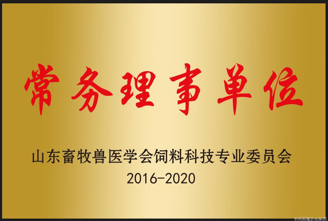<span>荣誉展示</span>