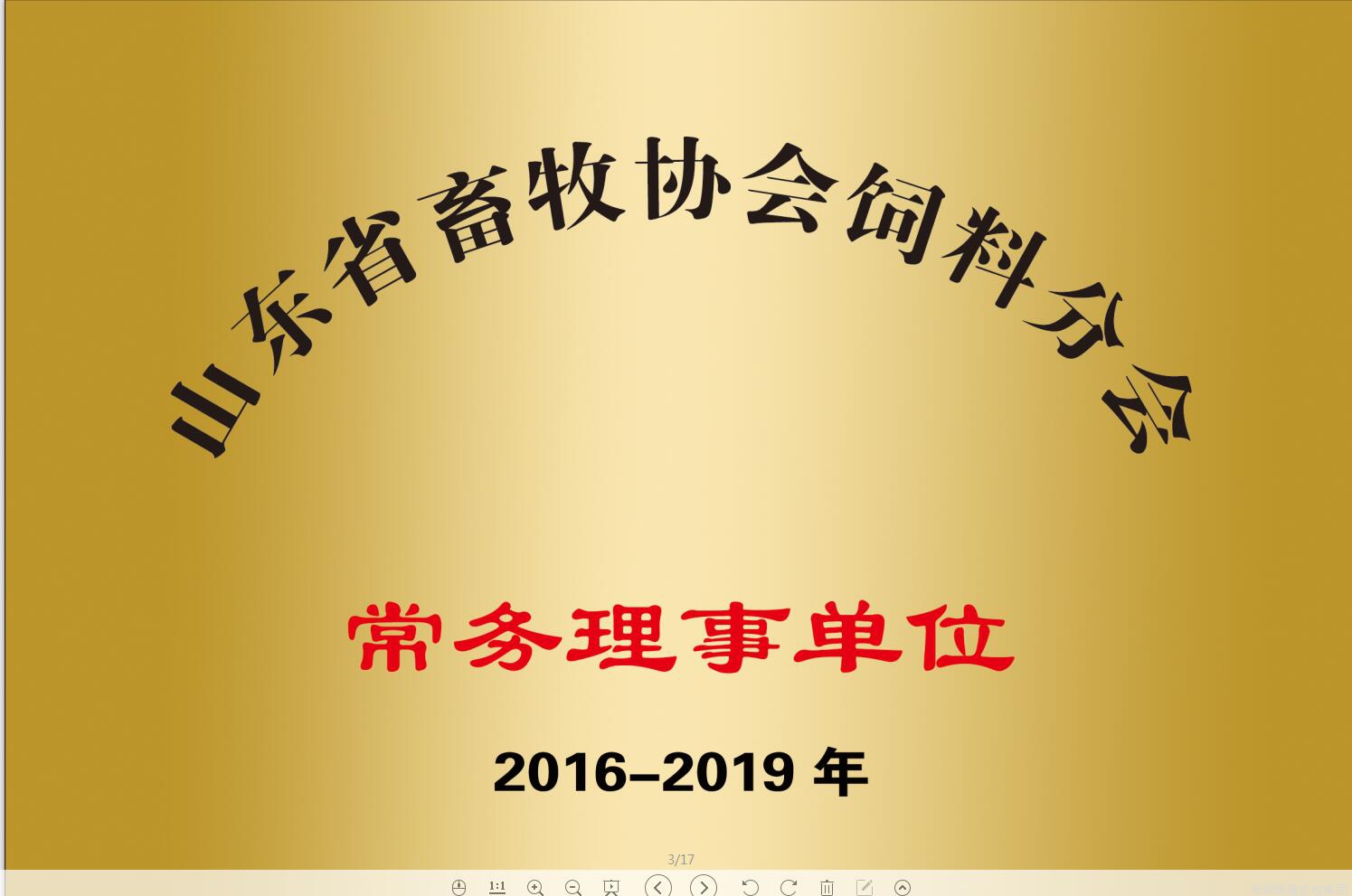 <span>荣誉展示</span>