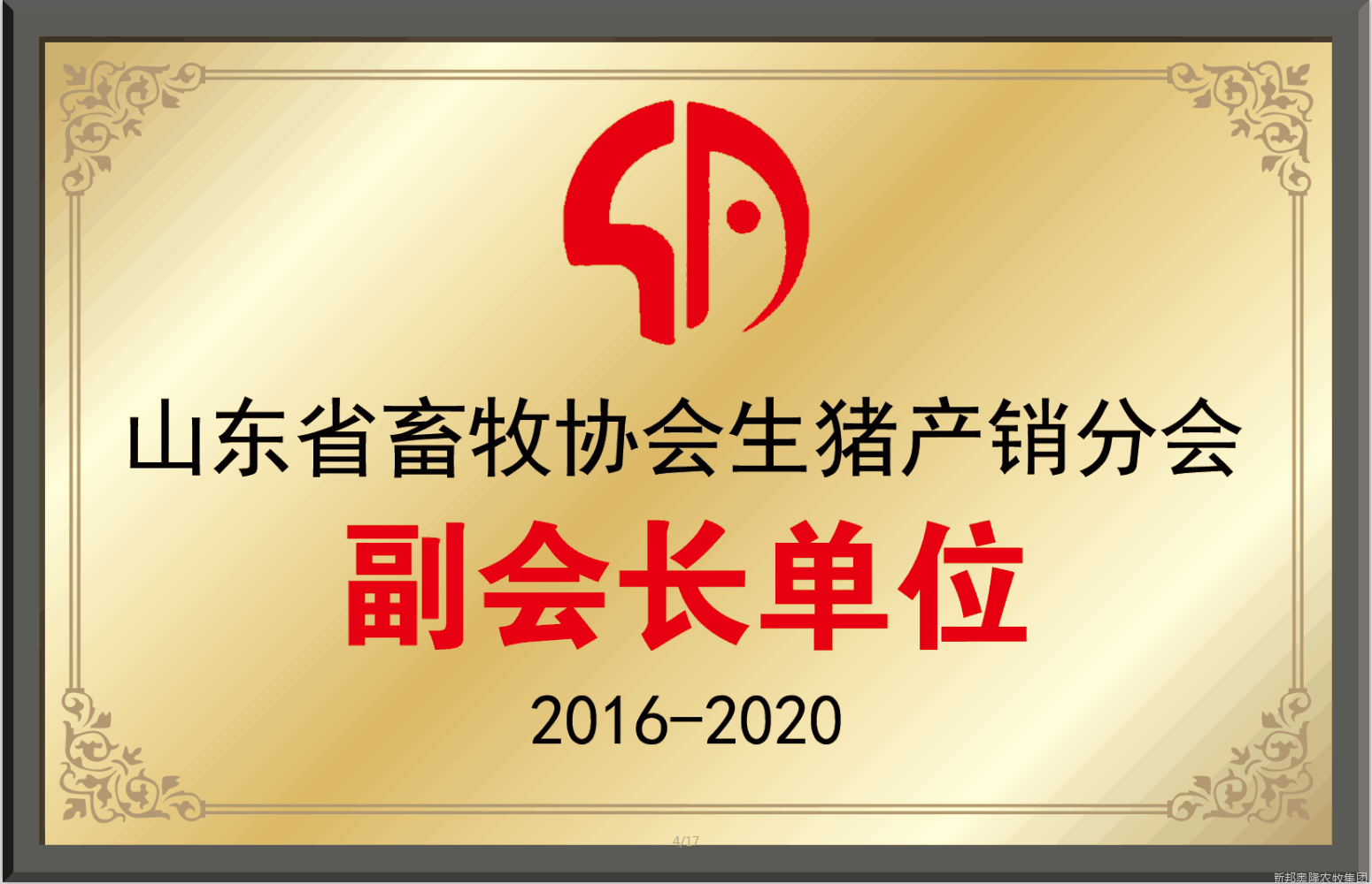 <span>荣誉展示</span>