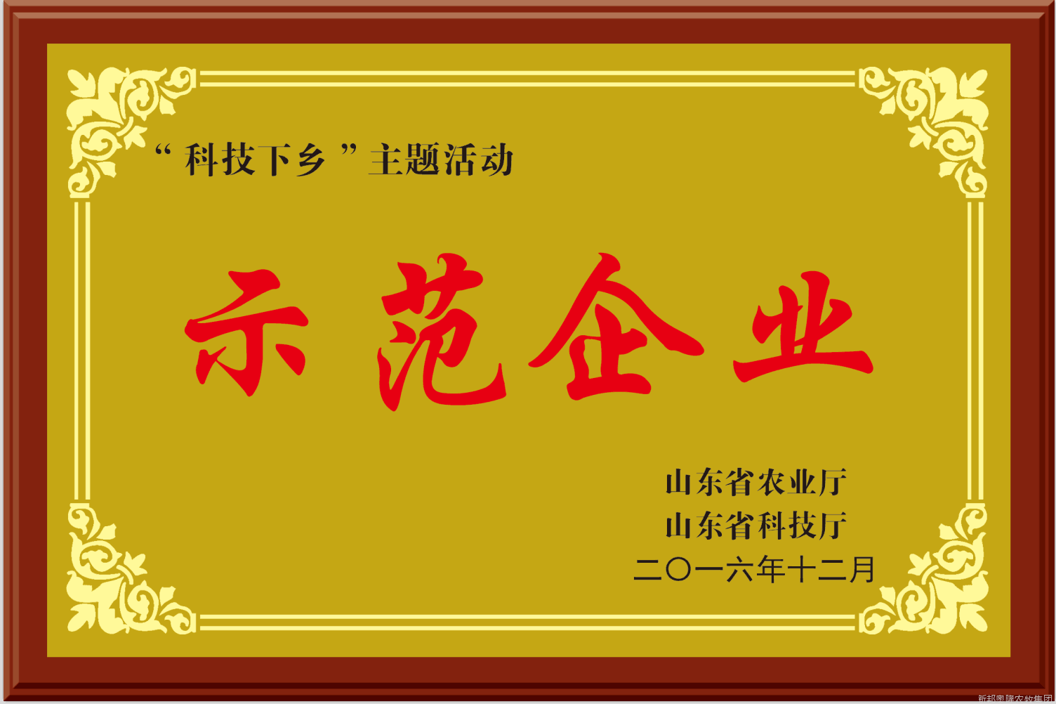 <span>荣誉展示</span>