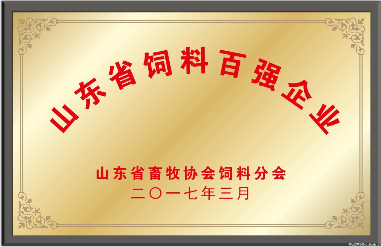 <span>荣誉展示</span>