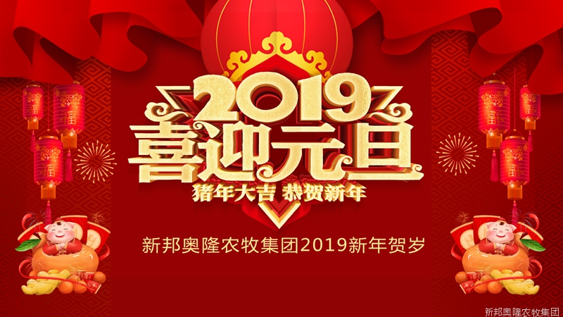 大平台 筑梦想 赢未来  新邦奥隆迎新贺岁