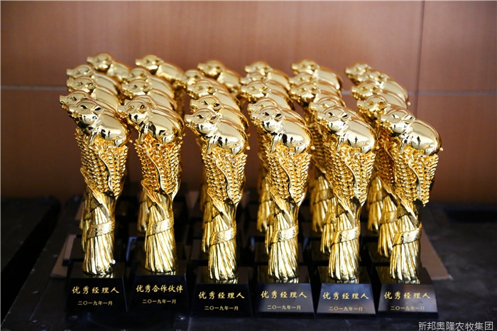 <span>先进表彰</span>