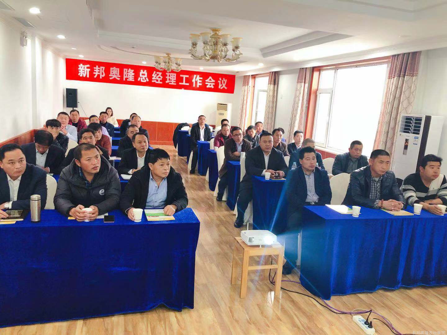 五月，春意盎然——新邦奥隆与你相伴