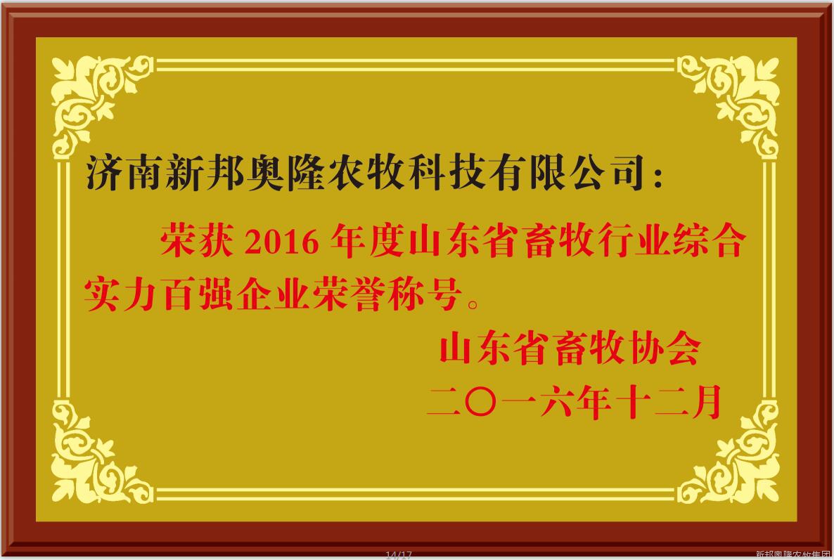 荣誉展示