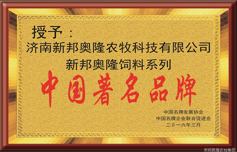 荣誉展示