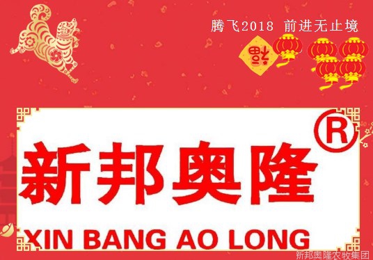 腾飞2018 前进无止境
