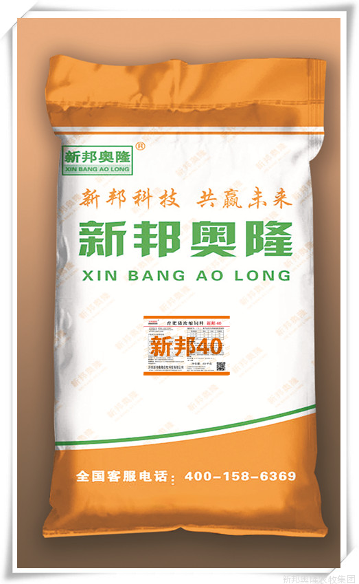 新邦40
