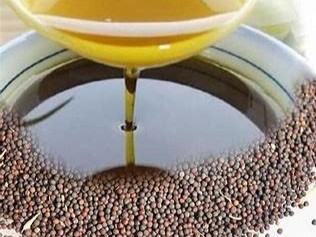 Rapeseed Oil 菜籽油
