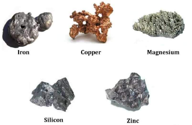 ACB Bio-Chelate-5 PF 五矿多元酵母精华