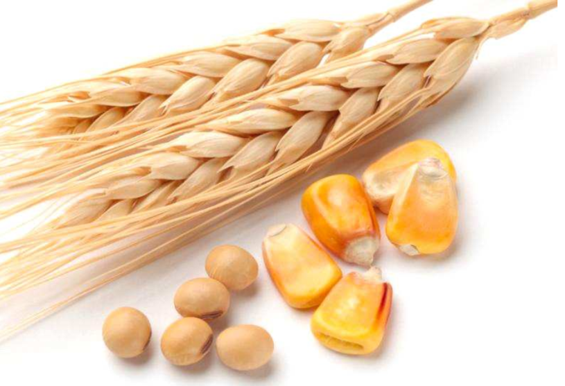 AC Plant Keratin 复合植物角蛋白