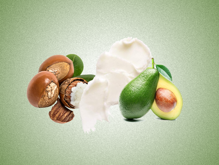 BIOLIPID SHEA CB/乳木果生物乳化剂CB
