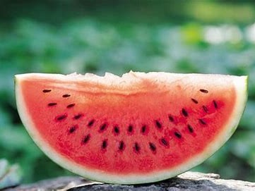 Kalahari Melon Oil/西瓜籽油