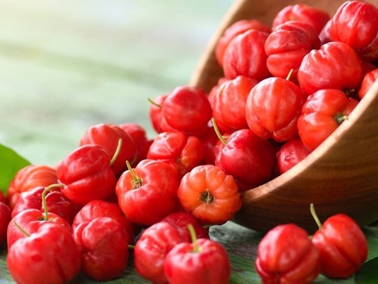 ACB Acerola Bioferment/针叶樱桃发酵产物
