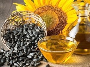 Sunflower Oil 向日葵籽油