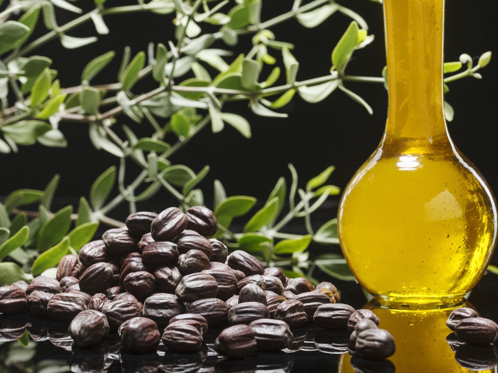 Jojoba Oil 霍霍巴油