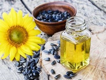 HOSO 高油酸向日葵籽油