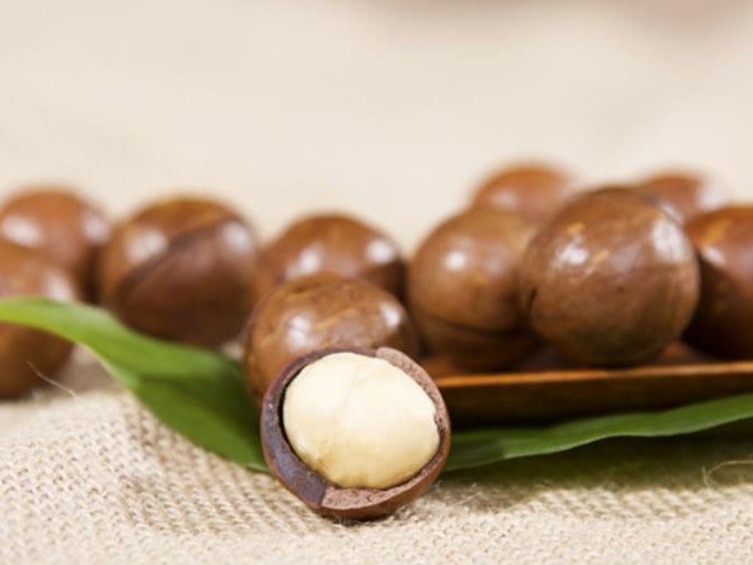 Macademia Oil 澳洲坚果油