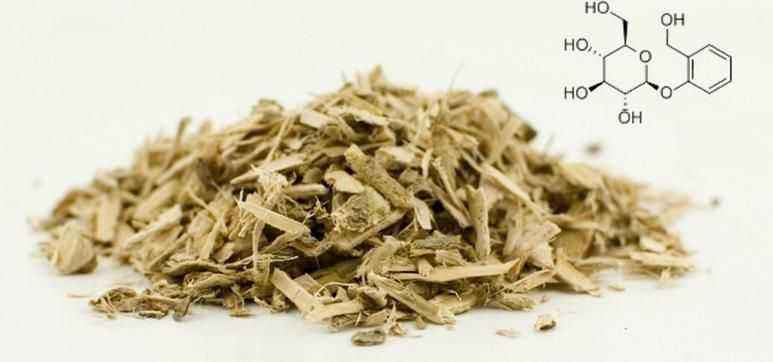ABS White Willow Bark Extract Powder/白柳树皮提取物