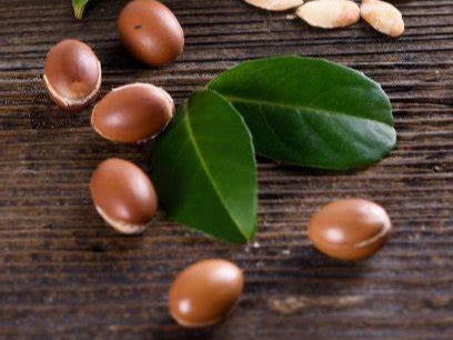 Argan Oil 阿甘油