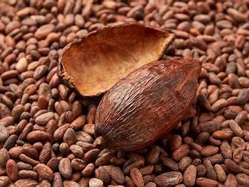 Cocoa Butter 可可籽脂