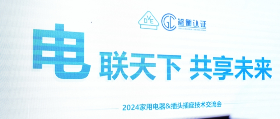 “电联天下 共享未来”2024家用电器&插头插座技术交流会圆满落幕！