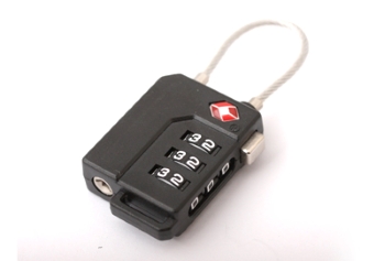 TSA21100