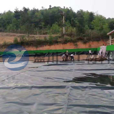 土工膜施工现场