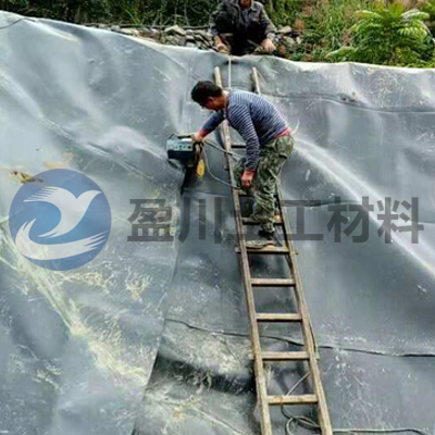 土工膜施工现场