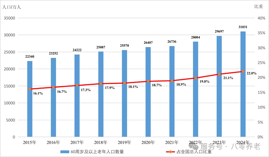 2024年度国家老龄事业发展公报