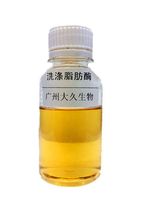 洗涤脂肪酶