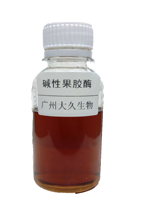 碱性果胶酶