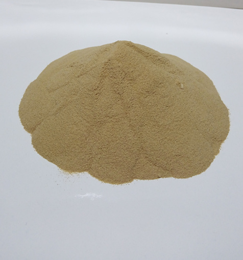α-淀粉酶