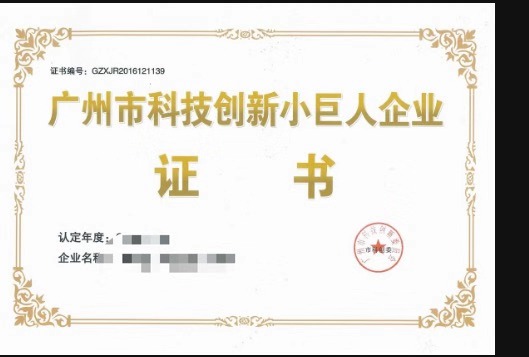 广州市科技小巨人项目