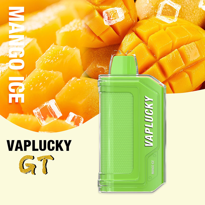GT 8000 puffs