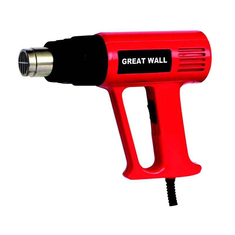 GW1009