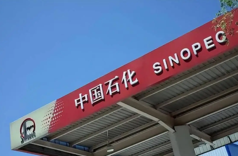 “中园石化”碰瓷“中国石化”？涉事加油站被立案，负责人回应