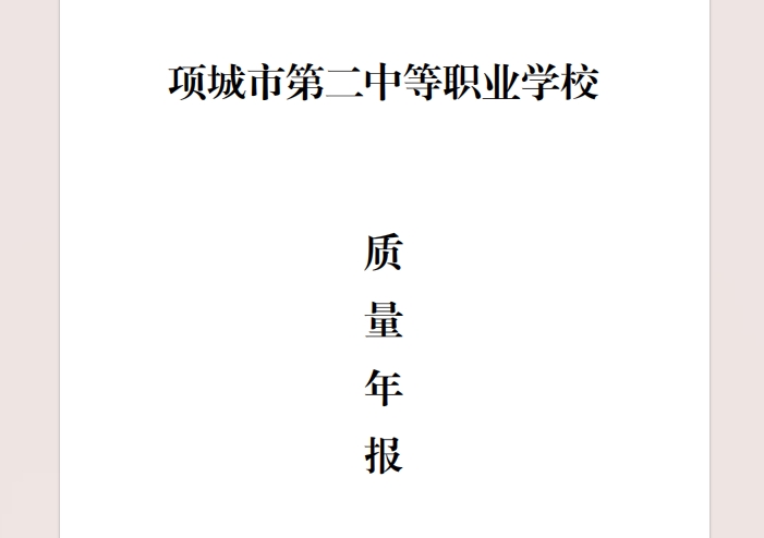 项城市第二中等职业学校2024年度年报
