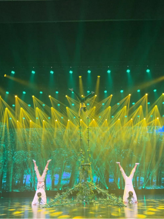 项城市杂技艺术学校