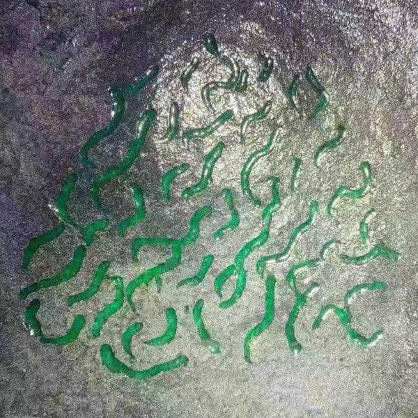 老坑老种冰种帝王绿满绿翡翠原石~重量600公斤